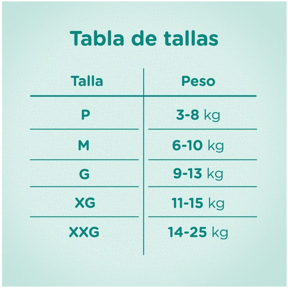 Pampers Pañales Premium Care Talla M 20 U  - Imagen 2