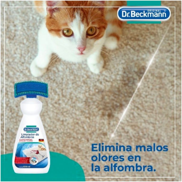 dr. beckmann limpiador de alfombras 650 ml