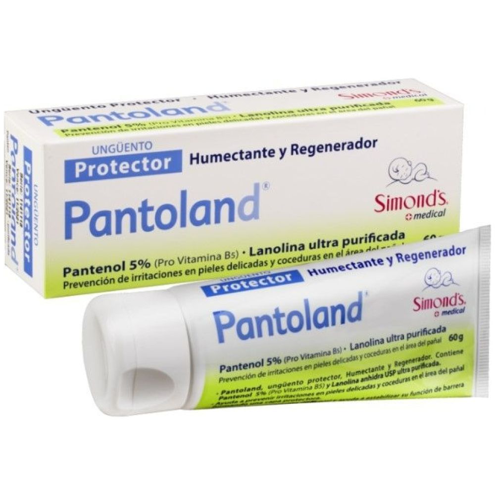 Pantoland Unguento Protector Pomo 60G