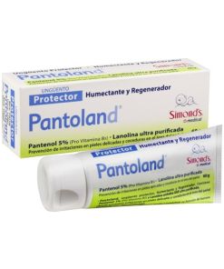 Pantoland Unguento Protector Pomo 60G